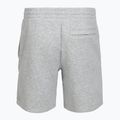 Pantaloncini da uomo Under Armour Icon Fleece mod gray light heather/white 4