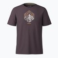 T-shirt da trekking uomo Smartwool Peak Energy Active Graphic mink heather 3