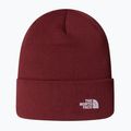 Cappello invernale The North Face Norm Beanie sumac