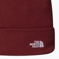 Cappello invernale The North Face Norm Beanie sumac 2