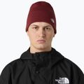 Cappello invernale The North Face Norm Beanie sumac 3