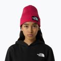 Cappello invernale per bambini con polsino a scatola con logo The North Face 3