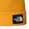 Berretto invernale The North Face Salty Lined 2