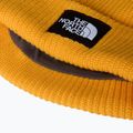 Berretto invernale The North Face Salty Lined 3