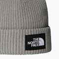 Berretto invernale The North Face Salty Lined 2