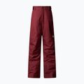 Pantaloni da sci per bambini The North Face Freedom Insulated sumac 4
