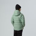 Giacca a piumino per bambini The North Face Reversible Perrito Hooded slate moss 3