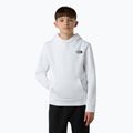 Felpa per bambini The North Face Teen Redbox Regular P/O bianco/nero 4