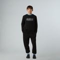 Felpa da uomo The North Face Reflective Logo Relaxed Crew nera 2