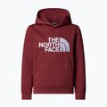Felpa per bambini The North Face Teen Drew Peak Pullover Hoodie sumac