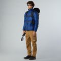 Giacca a piumino da uomo The North Face Terra Peak estate blue 2