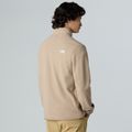 Felpa in pile da uomo The North Face Glacier Fleece grigio fungo 3