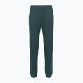 Pantaloni donna The North Face Mountain Athletics Fleece deep cypress/space