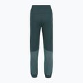 Pantaloni donna The North Face Mountain Athletics Fleece deep cypress/space 2