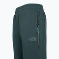 Pantaloni donna The North Face Mountain Athletics Fleece deep cypress/space 3