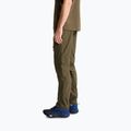 Pantaloni da trekking da uomo The North Face Exploration Regular Tapered Convertible taupe green 4