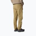 Pantaloni da trekking da uomo The North Face Exploration Regular Tapered khaki stone 3