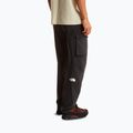 Pantaloni da trekking da uomo The North Face Exploration Cargo tnf black 3