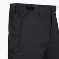 Pantaloni da sci uomo The North Face Chakal Regular black/black 3