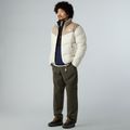 Giacca da uomo The North Face Saikuru grigio fungo/bianco dun 2