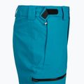 Pantaloni da sci da uomo The North Face Chakal Regular dusk blue 3