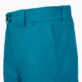 Pantaloni da sci da uomo The North Face Chakal Regular dusk blue 4