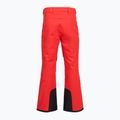 Pantaloni da sci da uomo The North Face Chakal Regular elevation red 2