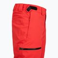 Pantaloni da sci da uomo The North Face Chakal Regular elevation red 3