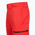 Pantaloni da sci da uomo The North Face Chakal Regular elevation red 4