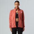 Felpa in pile da donna The North Face Glacier Fleece polvere di mars 4