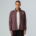 Felpa in pile da donna The North Face Glacier Fleece quarzo fulvo 4