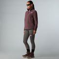 Felpa in pile da donna The North Face Glacier Fleece 1/4 Zip quarzo fulvo 2