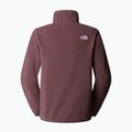 Felpa in pile da donna The North Face Glacier Fleece 1/4 Zip quarzo fulvo 5