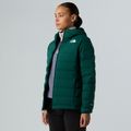 Giacca imbottita da donna The North Face Abseil Stretch Down Hoodie verde caccia 4