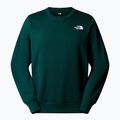 Felpa da uomo The North Face Simple Dome Crew verde cacciatore 4