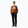 Felpa da uomo The North Face Easy Crew color ambra bruciato 2