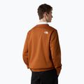 Felpa da uomo The North Face Easy Crew color ambra bruciato 3