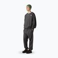 Pantaloni da uomo The North Face Expedition Celebration Relaxed Jogger Reg grigio antracite 2