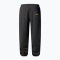 Pantaloni da uomo The North Face Expedition Celebration Relaxed Jogger Reg grigio antracite 5