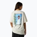T-shirt uomo The North Face NSE Slopes Relaxed Tee Graphic white dune 3