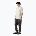 Maglietta da uomo The North Face Flower Dome Relaxed Graphic white dune 2