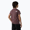T-shirt bambino The North Face Simple Dome Tawny Quartz 5