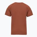 Maglietta termica da uomo Smartwool Merino Sport 120 burnt sienna 2