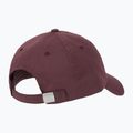 Cappello da baseball New Balance 6 Panel Linear Logo fadedplu da donna 2