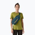 Patagonia Black Hole Waist Pack 5 l marsupio marea 4