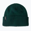 Patagonia Brodeo Beanie berretto invernale verde cascata