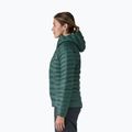 Giacca imbottita da donna Patagonia Down Sweater Hoody cascade green 4
