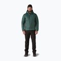 Giacca imbottita da uomo Patagonia Down Sweater Hoody cascade green 2