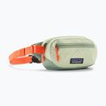 Patagonia Terravia Mini Hip lichene verde rene bustina