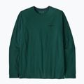 Patagonia P-6 Logo Responsibili Uomo manica lunga verde cascata
